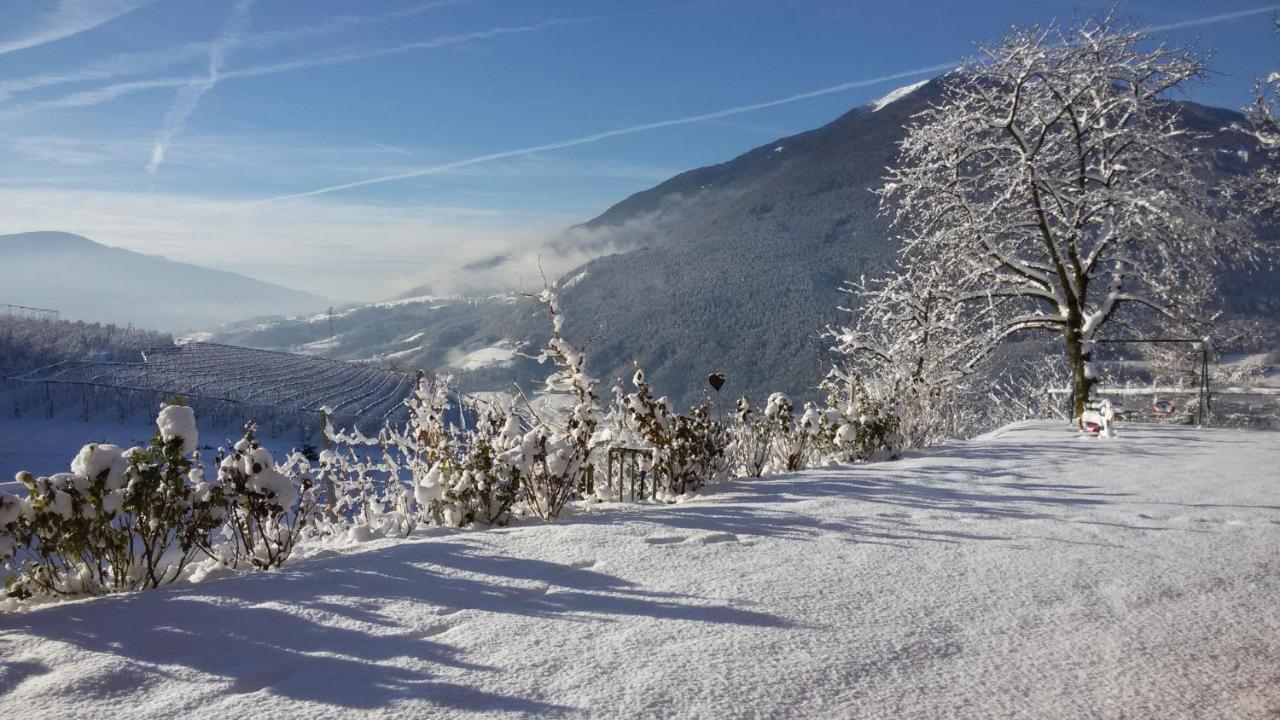 Trinnerhof- Hof Chalets Und Obsthof Mit Zimmer Natz-Schabs ภายนอก รูปภาพ